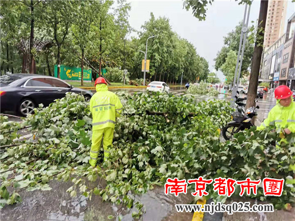 微信图片_20210710202323.jpg