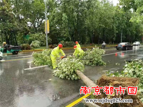 微信图片_20210710202336.jpg