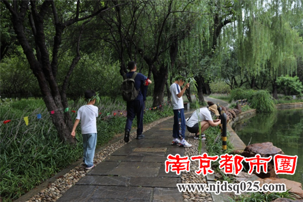 南京莫愁湖新近建了个天鹅岛82.png