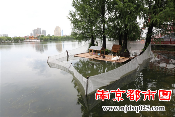 南京莫愁湖新近建了个天鹅岛208.png