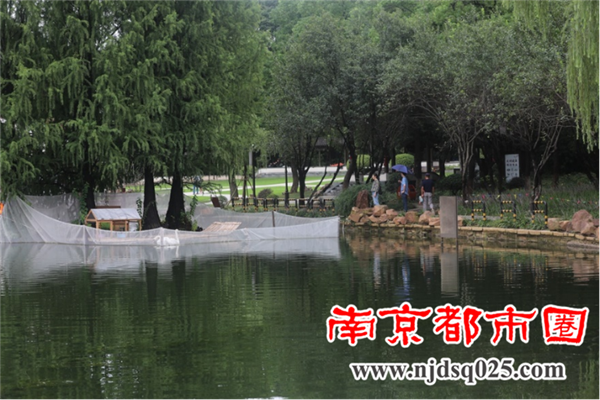 南京莫愁湖新近建了个天鹅岛284.png
