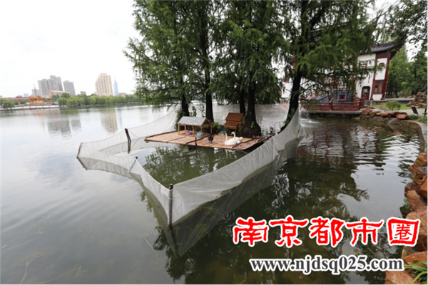 南京莫愁湖新近建了个天鹅岛286.png