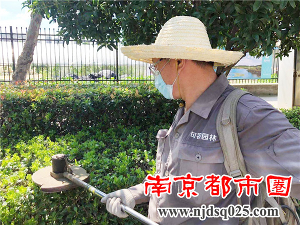 微信图片_202108051546022.jpg