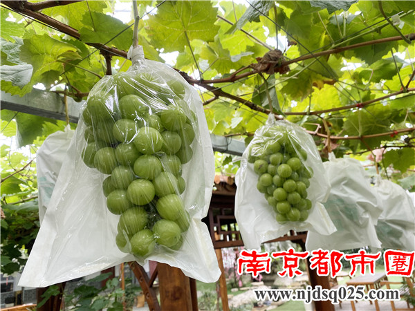 微信图片_202108201812113.jpg