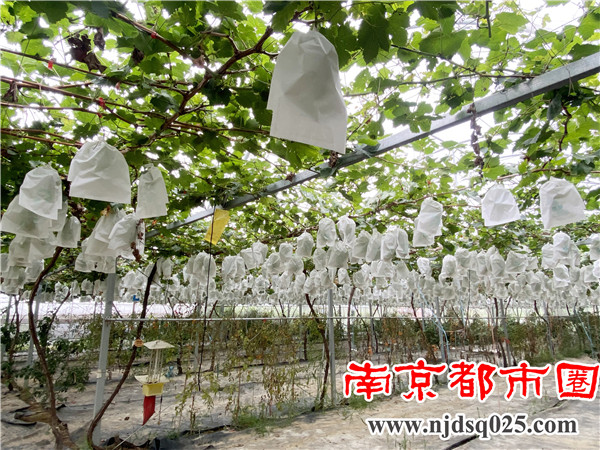 微信图片_202108201812111.jpg
