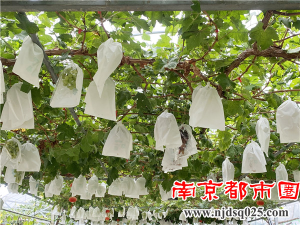 微信图片_20210820181211.jpg