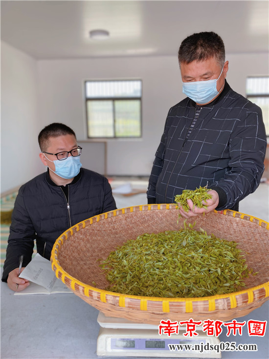 教农户辨别茶叶品质（夏洪廷）_副本1.jpg