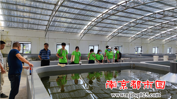 07图为团队成员调研鲈鱼工厂化繁育车间.jpg