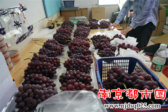 南京都市圈04.jpg