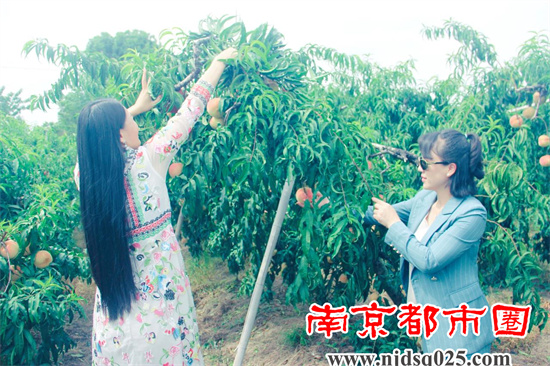 南京10.jpg