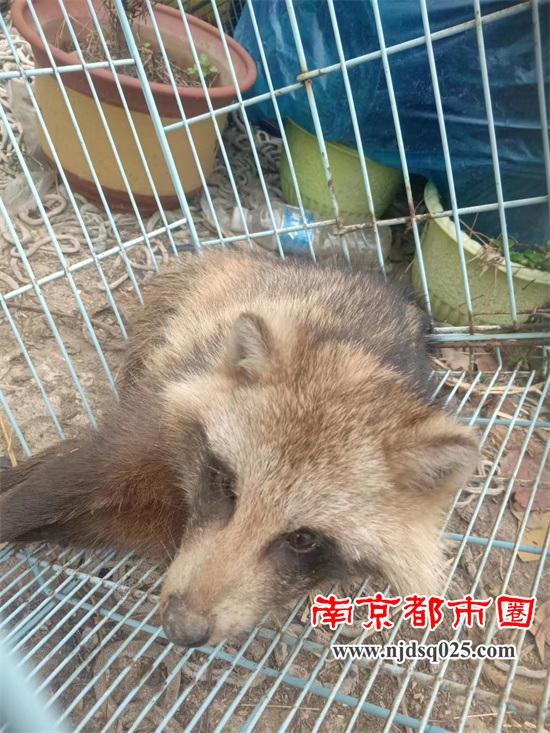 南京01.jpg