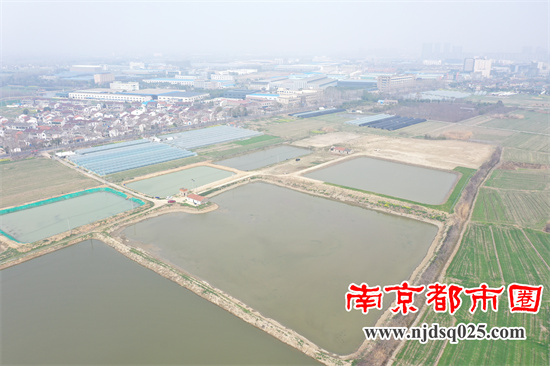 南京01.jpg