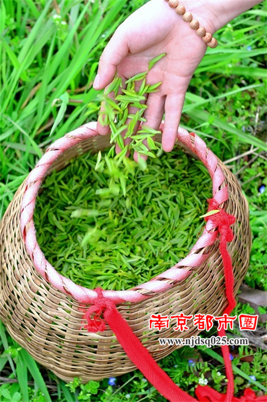 南京05.png