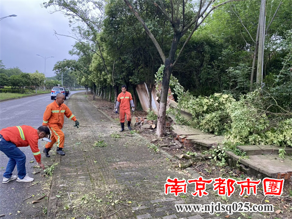 QQ图片20230606170204.jpg