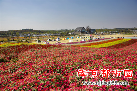 南京07.jpg