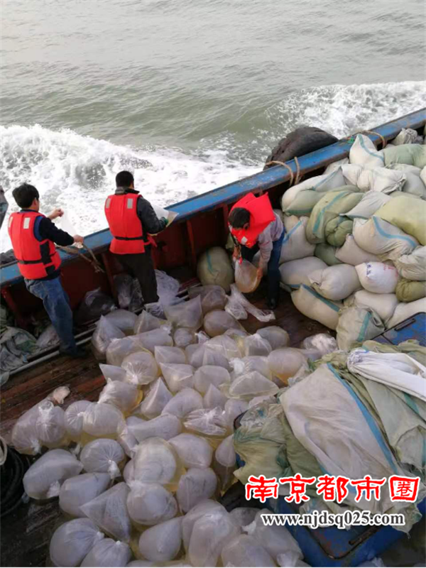 “苏海红”海蜇苗种稿图（已经修改）(22)1266.png