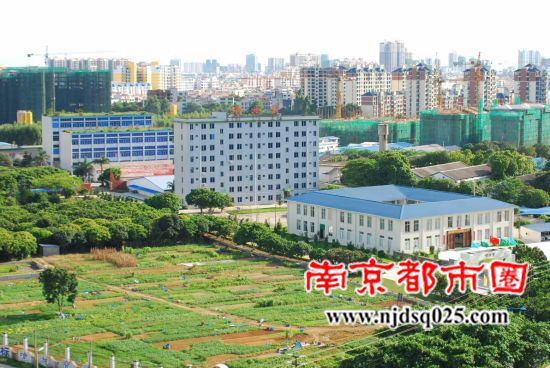 把中国绿色农业带向国际第一人和他的喷施宝公司.jpg