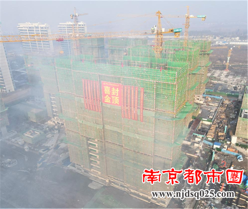 南京龙袍新城安置房二期（一批次）项目 E地块首栋住宅楼顺利封顶
