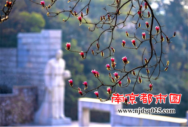 《我们的节日 》（清明篇）2全国摄影比赛揭晓(1)1334.png