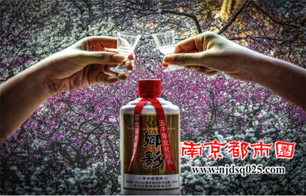 《我们的节日 》（清明篇）2全国摄影比赛揭晓(1)1631.png