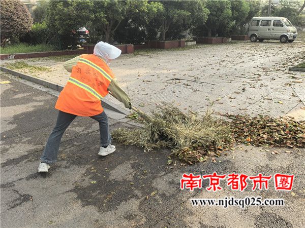 QQ图片20250411143634.jpg