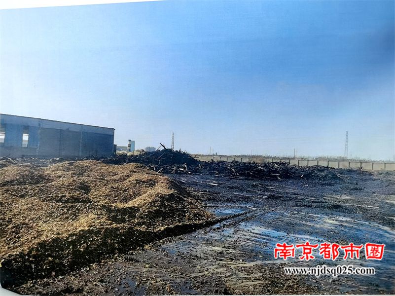 6891bb0c93264.jpg 16.jpg